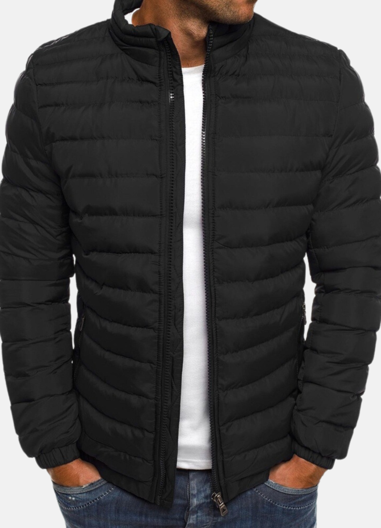 Ledger | Veste Hiver Bomber Pour Hommes | Tendance