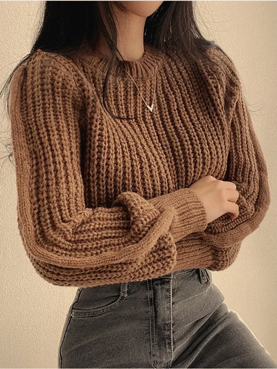 ArtelierDeRoche™ | Pull Élégant à Manches Longues