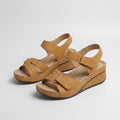 Marron