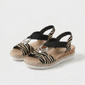 Zebra Classique